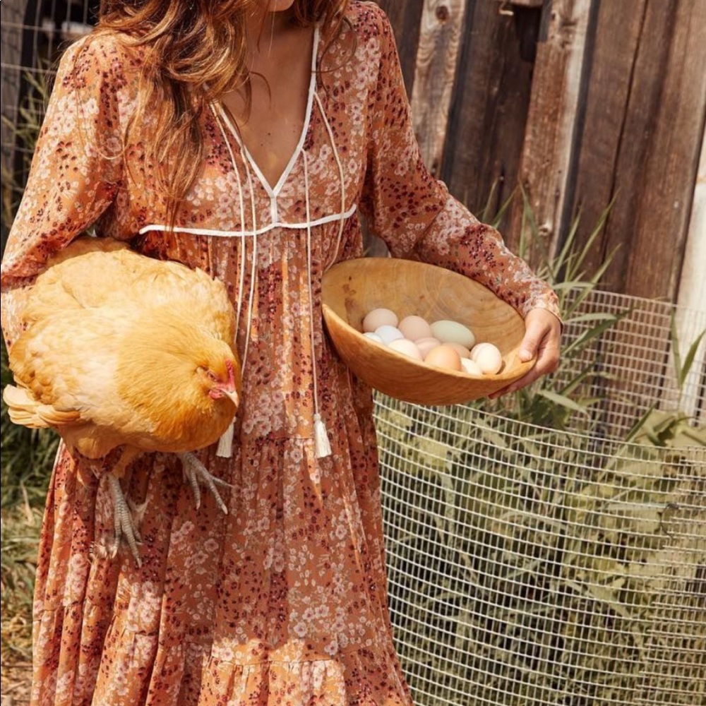 Christy Dawn Paloma maxi dress